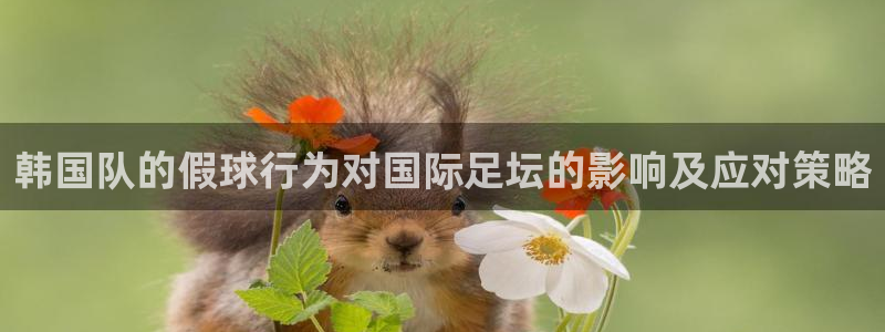 亚洲杯足球：韩国队的假球行为对国际足坛的影响及应对策略