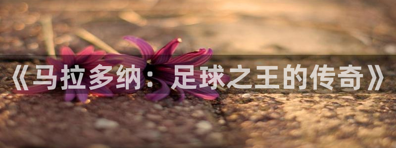 中国 世界杯：《马拉多纳：足球之王的传奇》