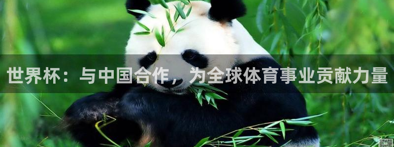 足球世界杯：世界杯：与中国合作，为全球体育事业贡献力量