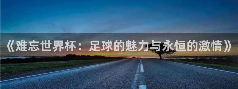 世界杯欧洲预选赛赛程：《难忘世界杯：足球的魅力与永恒的激情》