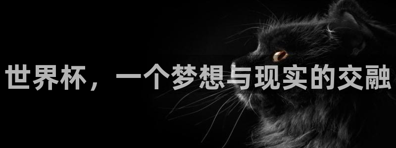 26世界杯：世界杯，一个梦想与现实的交融