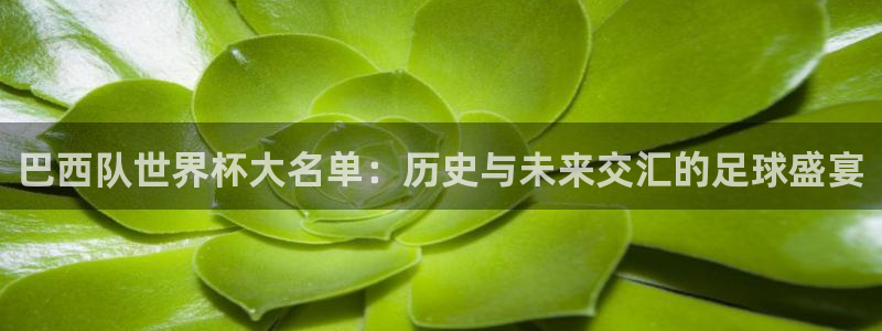 免费足球比赛直播高清：巴西队世界杯大名单：历史与未来交汇的足球盛宴