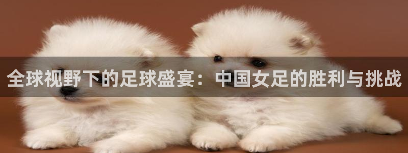 世界杯直播：全球视野下的足球盛宴：中国女足的胜利与挑战