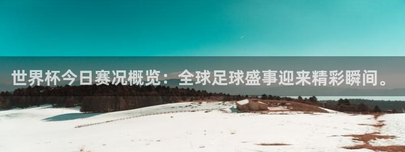 世界杯2026预选赛：世界杯今日赛况概览：全球足球盛事迎来精彩瞬间。