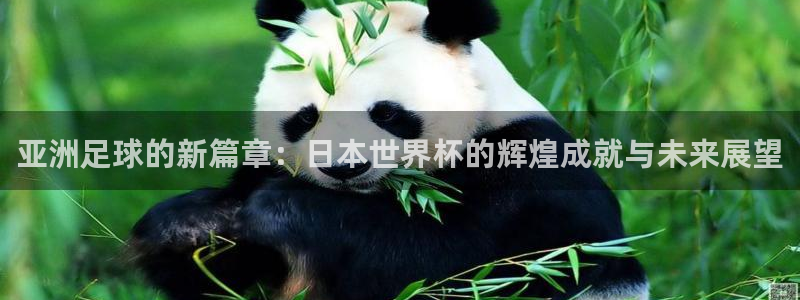 世界杯足球赛2026：亚洲足球的新篇章：日本世界杯的辉煌成就与未来展望
