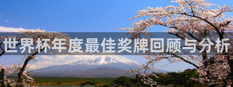 世界杯直播网站：世界杯年度最佳奖牌回顾与分析