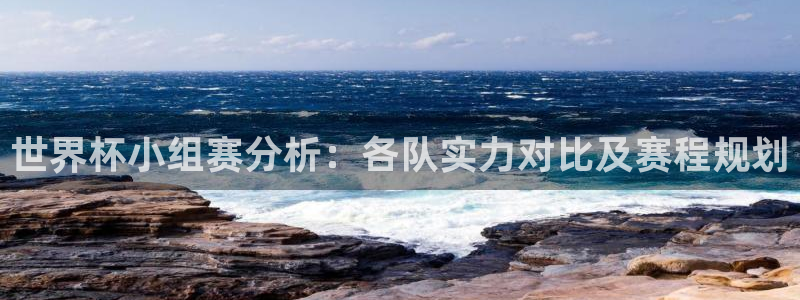 2006年世界杯冠军：世界杯小组赛分析：各队实力对比及赛程规划