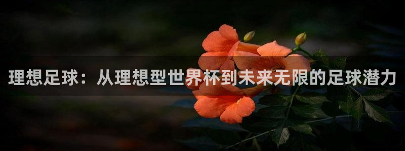 2006世界杯：理想足球：从理想型世界杯到未来无限的足球潜力